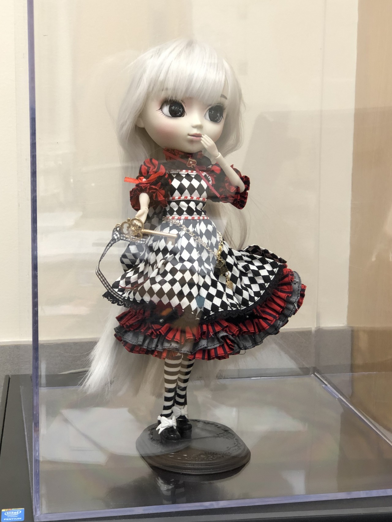 Pullip Optical Alice Fashion Doll P-195 in US 
